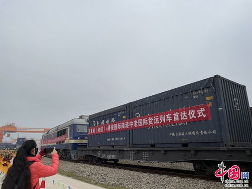 騰俊國際陸港中老國際貨運列車首次抵達昆明晉寧
